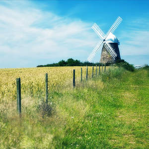 三年片在线观看大全有哪些日本歌

