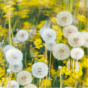 三年片在线观看大全有哪些日本歌
