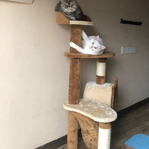 三年片在线观看大全有哪些日本歌
